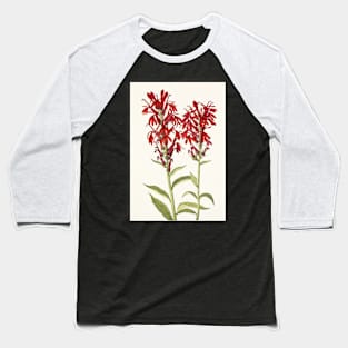 Cardinal flower - Botanical Illustration Baseball T-Shirt